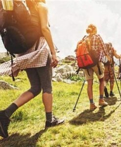 Nordic Walking Poles